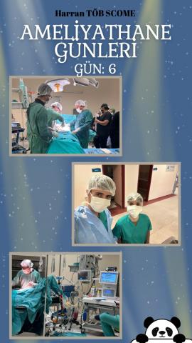 Gidilen her gün yerelimizin instagram hesabında ekte görüldüğü gibi paylaşımlar yaptık.