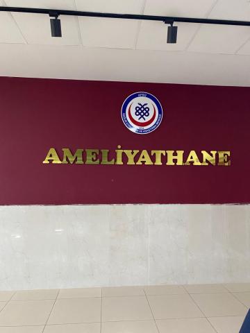 Ameliyathane Günleri