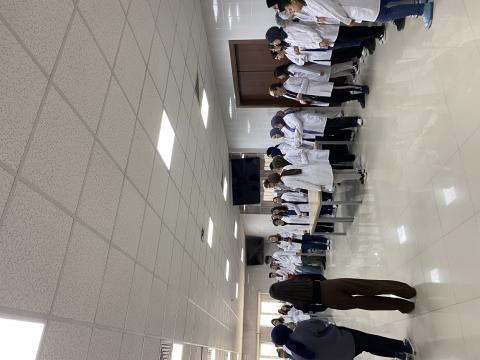 Anatomi zilli provası