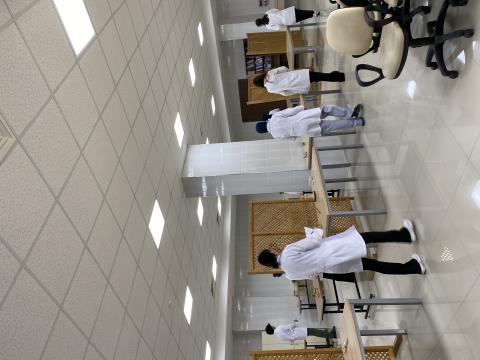 Anatomi zilli provası