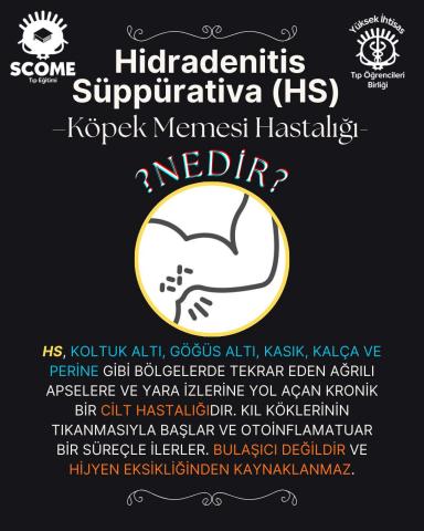 Hidradenitis Süppürativa (Köpek Memesi Hastalığı) İlk Sayfa