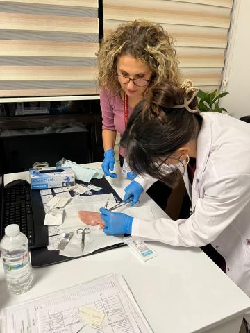 Primer sütur öğrenirken 