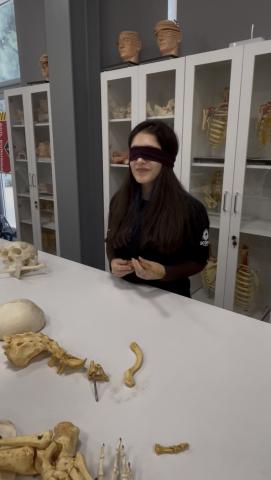 Kemiklerin ne olduğunu bulmaya çalışıyoruz 