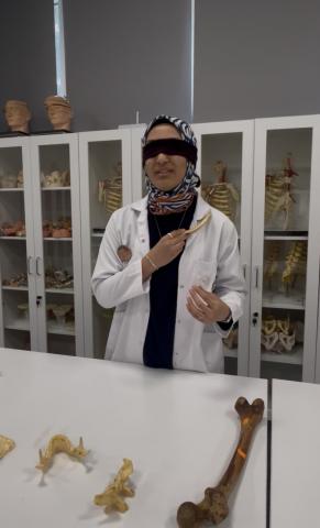 Kemiklerin ne olduğunu bulmaya çalışıyoruz