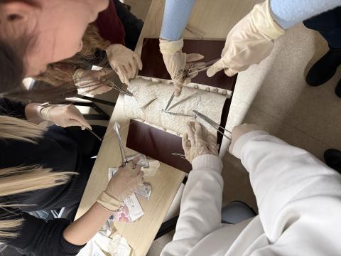 Herkes gruplar halinde öğrendiklerini uyguluyor. 