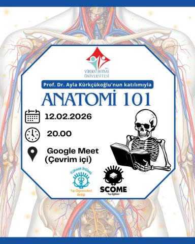 Anatomi 101 Afiş Sunumu