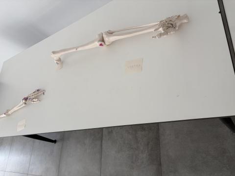 masalardan bir görsel