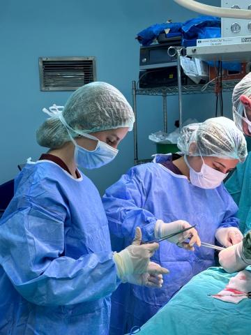 Arkadaşlarımız steril olup hocaya yardım ederken