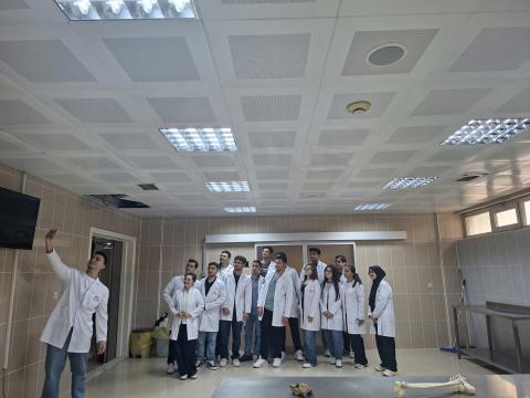 Kadavra Etkinliği 